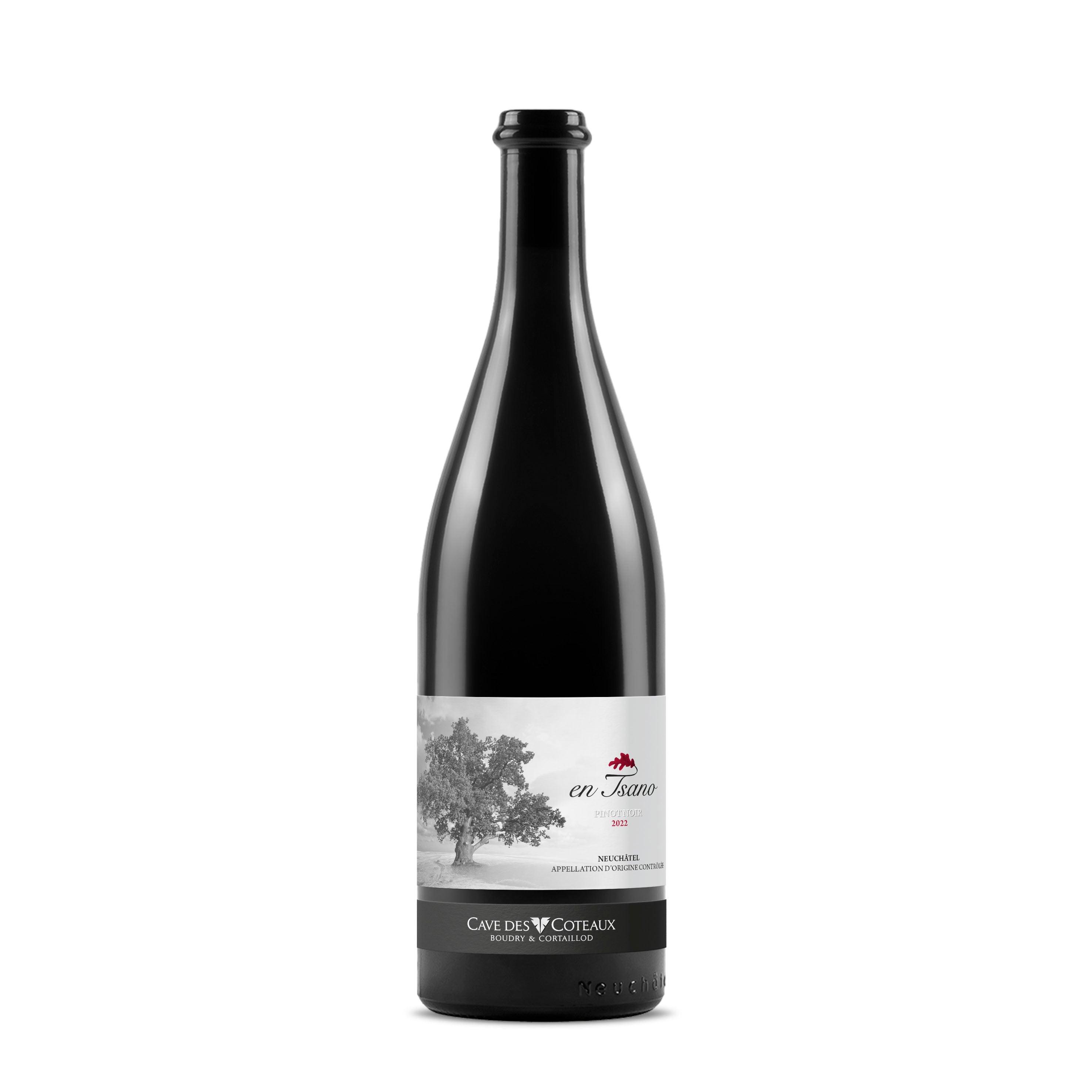 Pinot Noir "En Tsano" 2024